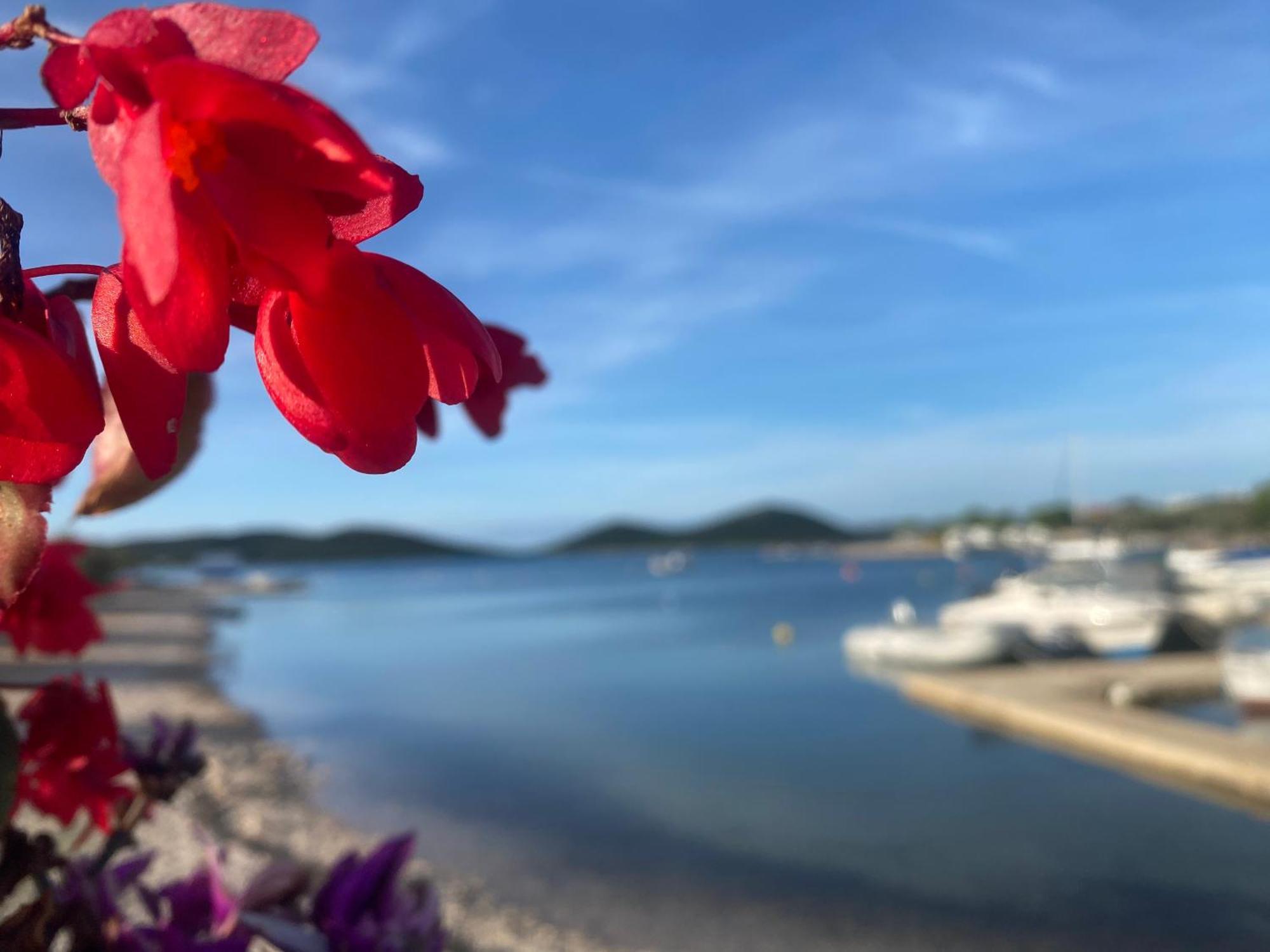 Amore Del Mare, Seaside Family Pace, Free Parking And Wifi In Camp Dalmatino Drage Εξωτερικό φωτογραφία